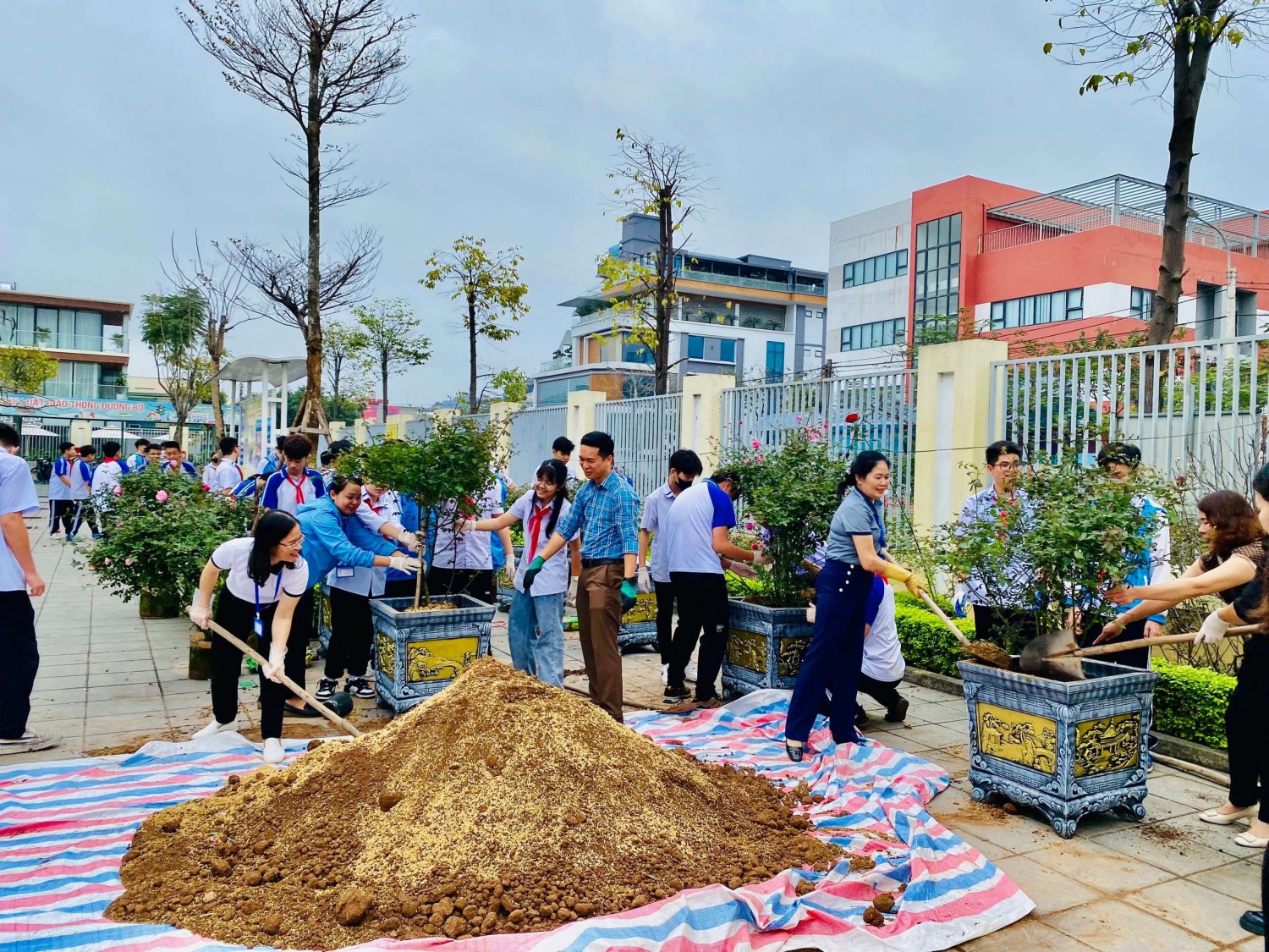 TRƯỜNG THCS CHU VĂN AN  TỔ CHỨC “TẾT TRỒNG CÂY ĐỜI ĐỜI NHỚ ƠN BÁC HỒ"  NHÂN DỊP XUÂN GIÁP THÌN NĂM 2024