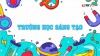 Phóng sự Trường học sáng tạo trên QTV1 về trường THCS Chu Văn An, phường Cẩm Phả, tỉnh Quảng Ninh