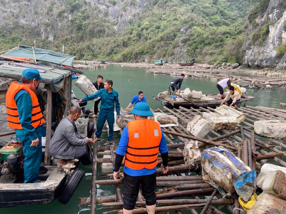 Thông tin triển khai đợt cao điểm ra quân làm sạch môi trường biển Thành phố Cẩm Phả ( Bản tin số 11, ngày 11/4/2023)